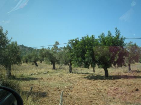 Mallorca 0062.jpg   25kb   26.03.2021 22:38:45